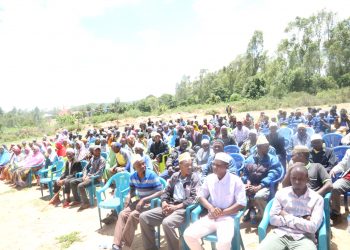 Mradi wa LDSF wasaidia wananchi kumiliki ardhi