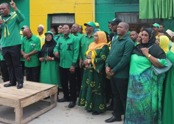 CCM yawataka wanasiasa kudumisha amani na mshikamano