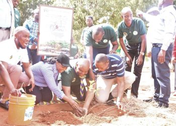 Serikali yaanzisha kampeni ya “SOMA NA MTI”