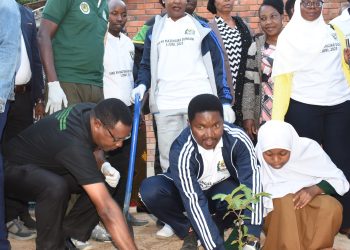 Tanzania kupanda miti milioni 276 kila mwaka