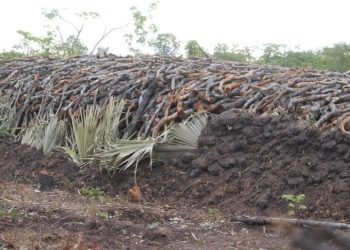 Shoroba zifunguliwe kupunguza athari za  wanyamapori wakali na waharibifu