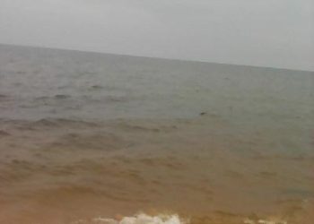 Mvua zasababisha vifo vya watu 15 wakiwemo watoto 12