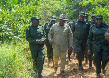 TAWA:Tumedhibiti utoroshwaji wa Nyara za Serikali katika Uwanja wa Ndege JNIA