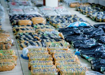 DCEA yamnasa wakala wa dawa za kulevya Tanzania,yumo bibi wa miaka 70