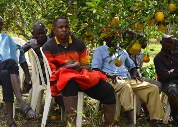 TARI yatoa mafunzo kwa Wakulima na Maafisa Ugani 165