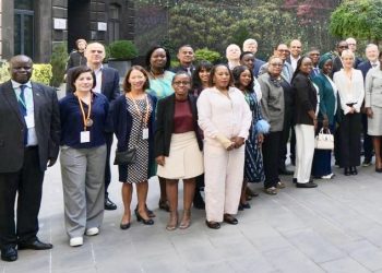 Dkt.Muyungi:Agenda ya nishati safi ya kupikia ni mojawapo ya nyenzo za kupunguza ukataji wa miti